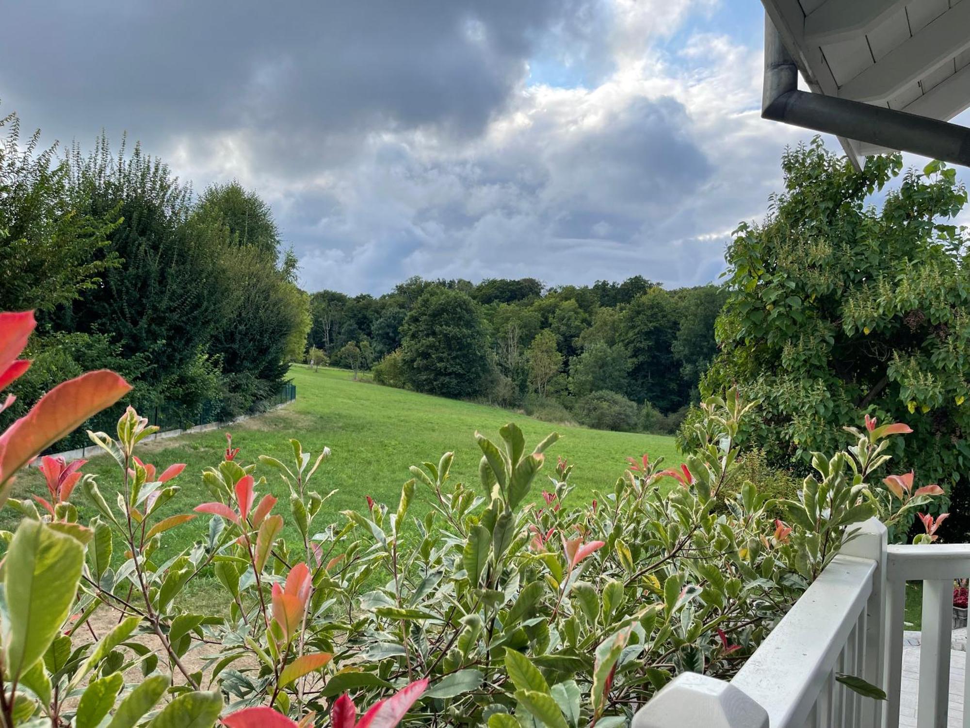 Tulipes Et Cetera Hotel Waldighoffen Buitenkant foto